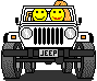 Mysmilies 214 Smiley – Auto