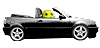 Mysmilies 72 Smiley – Auto