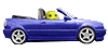 Mysmilies 73 Smiley – Auto