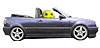 Mysmilies 74 Smiley – Auto