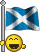 Mysmilies 160 Smiley – Flaggen