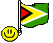 Guyana1 Smiley – Flaggen