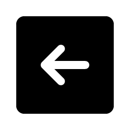 Arrow Square Left Fill Smiley – Icons