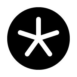 Asterisk Simple Fill Smiley – Icons