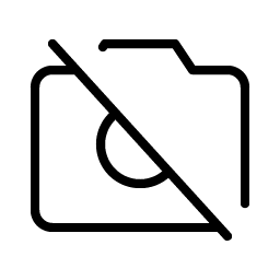 Camera Slash Thin Smiley – Icons