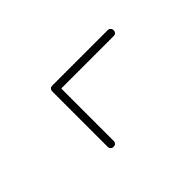 Caret Left Light Smiley – Icons