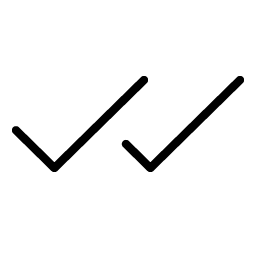 Checks Thin Smiley – Icons