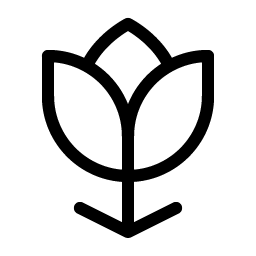 Flower Tulip Light Smiley – Icons