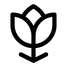Flower Tulip Smiley – Icons
