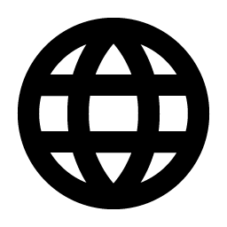 Globe Bold Smiley – Icons