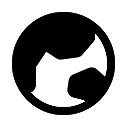 Globe Hemisphere East Fill Smiley – Icons