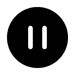Pause Circle Fill Smiley – Icons