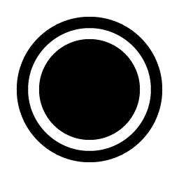 Record Fill Smiley – Icons