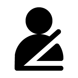 Seatbelt Fill Smiley – Icons