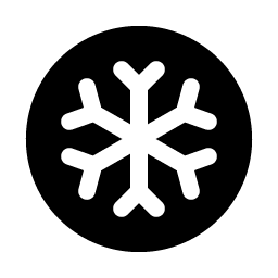 Snowflake Fill Smiley – Icons
