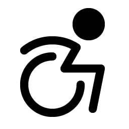 Wheelchair Motion Fill Smiley – Icons