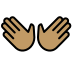 1F450 1F3FD Smiley – OpenMoji
