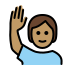 1F64B 1F3FD Smiley – OpenMoji