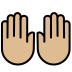 1F64C 1F3FC Smiley – OpenMoji
