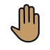 1F91A 1F3FD Smiley – OpenMoji