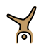 1F938 1F3FD Smiley – OpenMoji