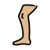 1F9B5 1F3FC Smiley – OpenMoji