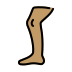 1F9B5 1F3FD Smiley – OpenMoji