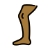1F9B5 1F3FE Smiley – OpenMoji
