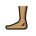 1F9B6 1F3FD Smiley – OpenMoji