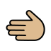 1FAF2 1F3FC Smiley – OpenMoji