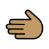 1FAF2 1F3FD Smiley – OpenMoji