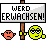 Werderw Smiley – Schilder