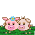 Bellaundborsti001 Smiley – Schwein