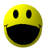 Mysmilies 1569 Smiley – Sonstige
