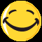 Mysmilies 3320 Smiley – Sonstige