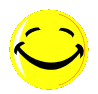 Mysmilies 3338 Smiley – Sonstige