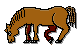Mysmilies 400 Smiley – Tiere