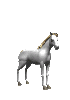 Mysmilies 503 Smiley – Tiere
